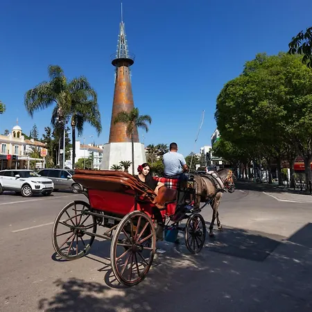 Patio Andaluz - Jardines 434 Marbella